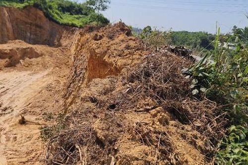 Đà Nẵng đề nghị chuyển hơn 9,5 ha đất rừng trồng sang khai thác đất