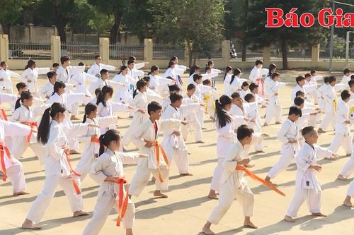 Chư Păh đẩy mạnh phong trào rèn luyện võ thuật Karatedo