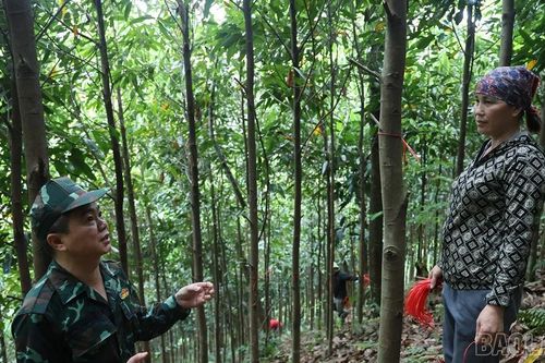 '90 ngày đêm giải phóng mặt bằng dự án đường sắt Lào Cai - Hà Nội - Hải Phòng': Cả hệ thống chính trị vào cuộc