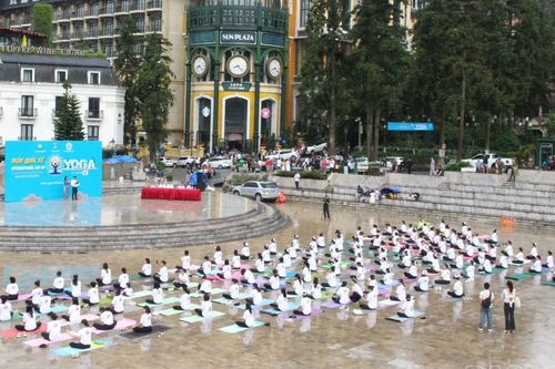 Lào Cai hưởng ứng Ngày Quốc tế Yoga năm 2025