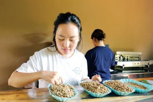 Hành trình xây dựng cà phê Robusta chất lượng cao