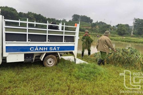 Thái Nguyên: Trên 260 hộ dân bị ảnh hưởng ngập lụt đã trở về nhà