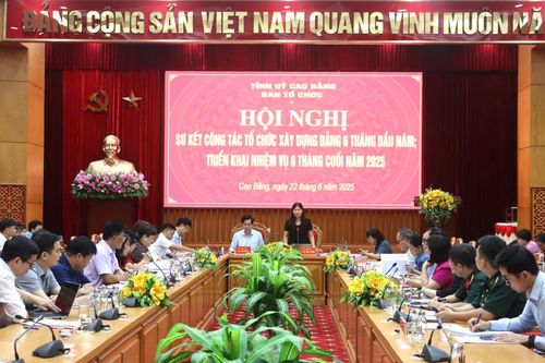 Sơ kết công tác Tổ chức xây dựng Đảng 6 tháng đầu năm 2025