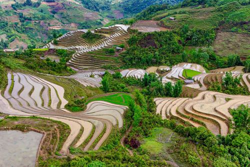Ngỡ ngàng trước vẻ đẹp mùa nước đổ trên ruộng bậc thang ở Lào Cai