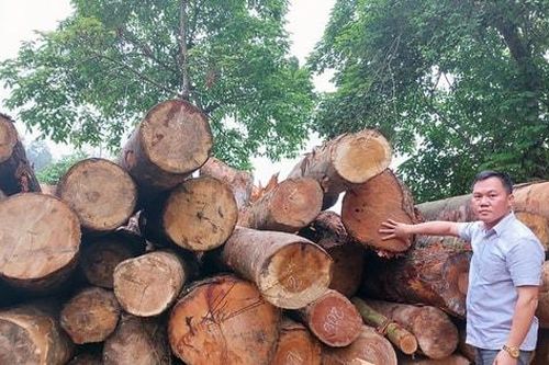 Kỷ niệm 100 năm Báo chí cách mạng Việt Nam (21/6/1925 - 21/6/2025): Nhà báo Hồng Nguyên - dấn thân và cống hiến