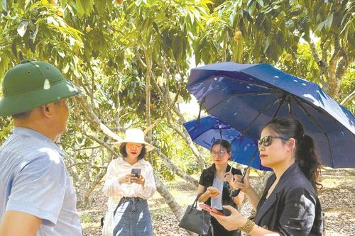 Làm báo Mặt trận