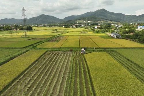 Khi lòng dân đồng thuận