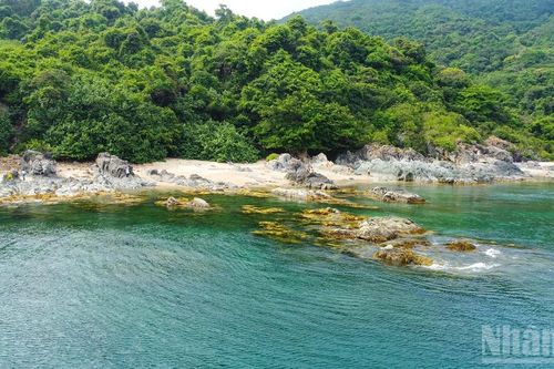 Ghềnh Bàng - 'Viên ngọc thô' quyến rũ của bán đảo Sơn Trà