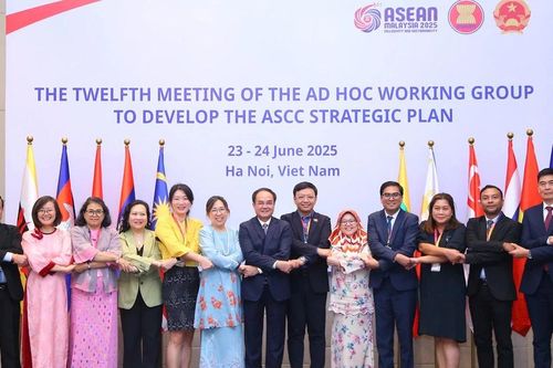 Tích cực tham gia vào quá trình triển khai Kế hoạch chiến lược ASCC