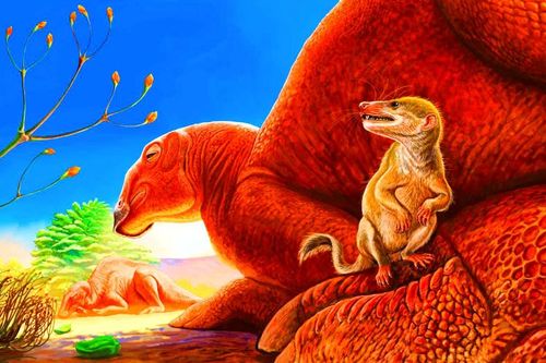 Hóa thạch động vật có vú 90 triệu năm tuổi gây sửng sốt