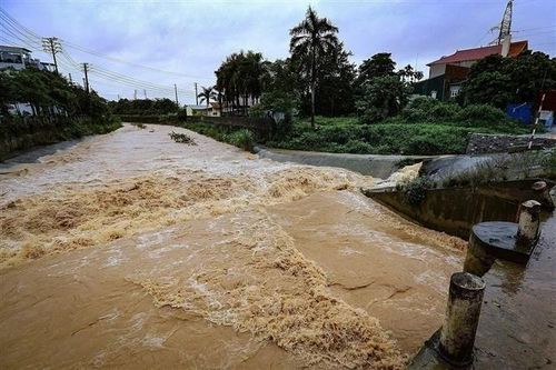 Bộ Y tế chỉ cách tránh dịch bệnh sau mưa lũ