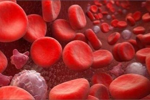Phát hiện nhóm máu mới, cả thế giới chỉ một người mang
