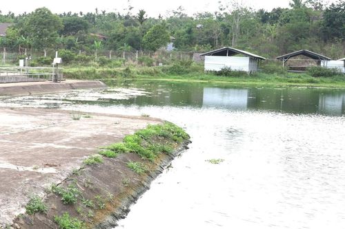 Chủ tịch TP Buôn Ma Thuột nói Công ty cấp nước Đắk Lắk làm 'trò trẻ con'