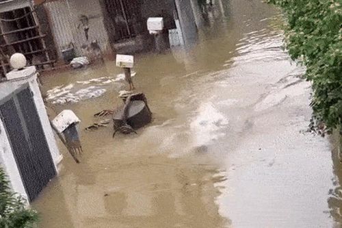 Clip thầy giáo bơi giữa 'phố biến thành sông' khiến dân mạng xôn xao