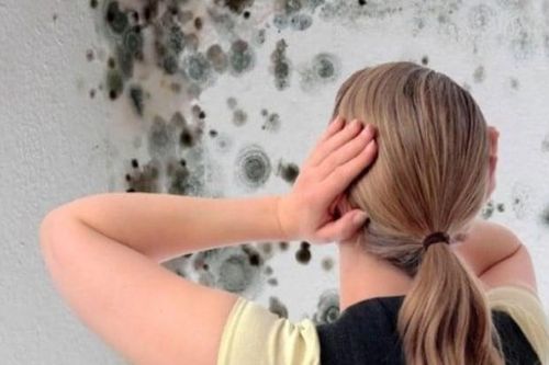 90% người Việt bỏ qua 6 điểm này khi dọn nhà mà không hay biết đó là ổ nấm mốc