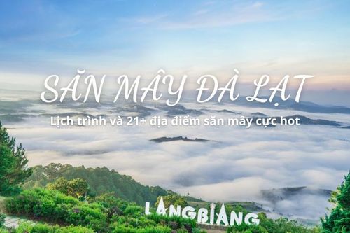 Săn mây Đà Lạt: 21+ địa điểm check-in đẹp nhất 2025