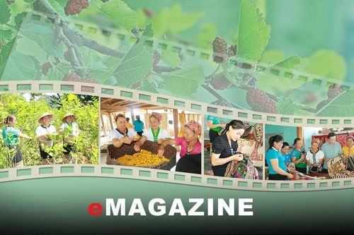 'Giữ lửa' nghề trồng dâu nuôi tằm ở vùng cao