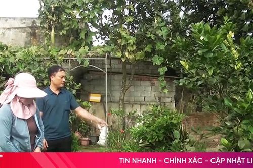 Vì sao nhiều người dân không còn mặn mà làm vườn mẫu?