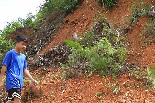 Yên Bái: Mưa lũ gây sạt lở hàng chục nghìn mét khối đất đá