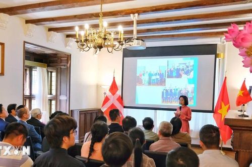 Cộng đồng Việt Nam tại Đan Mạch luôn hướng về quê hương