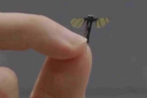 Quân đội Trung Quốc tiết lộ UAV nhỏ bằng muỗi làm nhiệm vụ tác chiến