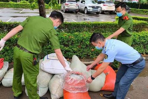 Phát hiện xe khách vận chuyển gần 1 tấn nội tạng động vật đang bốc mùi về Hà Nội tiêu thụ