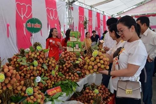 Kết nối giao thương ở Lễ hội trái cây và rau củ Việt Nam tại Singapore 2025