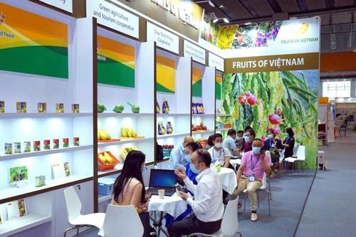 Thúc đẩy xúc tiến thương mại toàn diện trong và ngoài nước