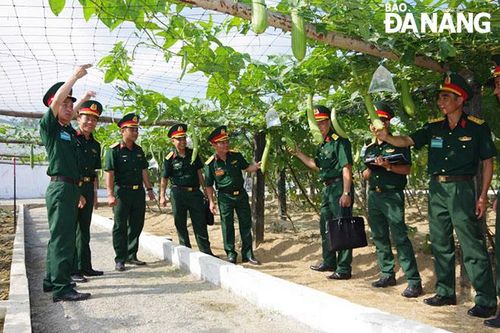 Tăng gia sản xuất ở Trung đoàn 971