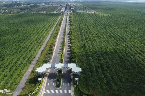 Đồng Nai kiến nghị Chính phủ hướng dẫn quỹ đất thu hồi của ngành cao su để làm dự án