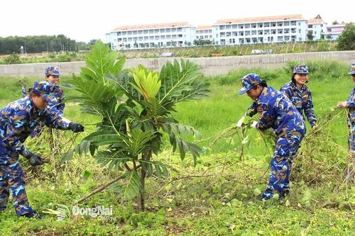 Tuổi trẻ xung kích xây dựng kho, trạm, xưởng chính quy, xanh, sạch, đẹp