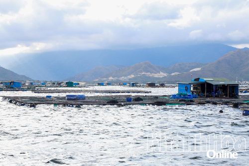 Vạn Ninh: Tập trung xử lý tình trạng nuôi trồng thủy sản không đúng quy định