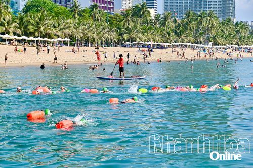 Sức hút Giải bơi Sea Star Nha Trang