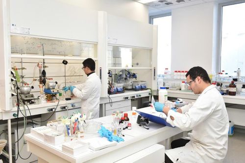 Phát triển nguyên liệu điều trị nấm Candida trong thú y