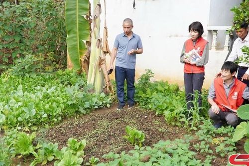 Cải thiện sinh kế, dinh dưỡng đồng bào dân tộc thiểu số