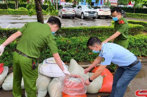 Thu giữ 883 kg nội tạng động vật không rõ nguồn gốc xuất xứ