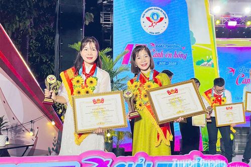 Tuyên Quang có 2 Tổng phụ trách Đội nhận Giải thưởng 'Cánh én hồng' năm 2025