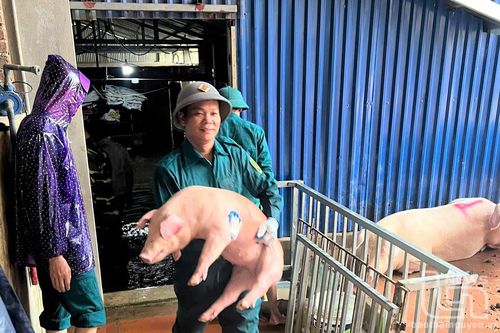 TP. Phổ Yên: Hỗ trợ người dân di dời tài sản khi nước sông Cầu dâng cao