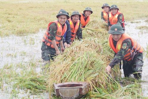 Thắm tình đoàn kết quân dân