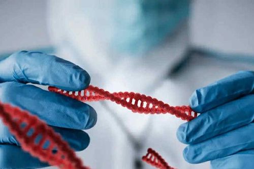 Phát hiện người phụ nữ mang nhóm máu mới độc nhất vô nhị trên thế giới