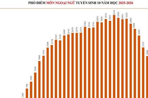 Phổ điểm thi vào lớp 10 Thành phố Hồ Chí Minh: Những khác biệt giữa hai Chương trình