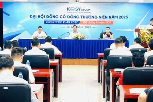 Kosy (KOS): Đặt mục tiêu lãi 118 tỷ đồng năm 2025 sau khi chỉ hoàn thành 20% kế hoạch 2024