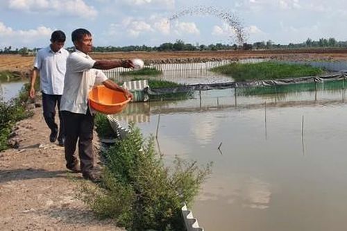 Xử lý hiệu quả nạn trộm cắp thủy sản