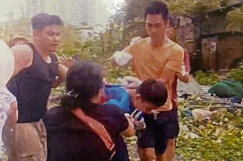 Lĩnh án tù vì mâu thuẫn khi tháo hàng rào tôn sau bão Yagi