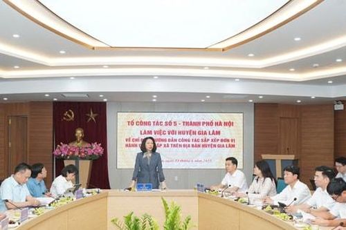 Phó Chủ tịch UBND thành phố Hà Nội Vũ Thu Hà làm việc với huyện Gia Lâm về công tác sắp xếp đơn vị hành chính cấp xã