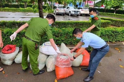 Phát hiện gần 1 tấn nội tạng động vật trong tình trạng phân hủy trên đường vận chuyển về Hà Nội tiêu thụ