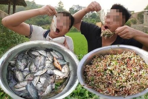 Người Việt 'hủy diệt' dạ dày với những món ăn độc lạ