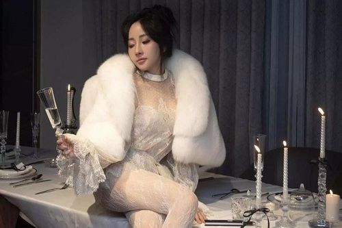 Ồn ào không hồi kết quanh chiếc túi đắt hơn cả căn nhà của Cún Bông
