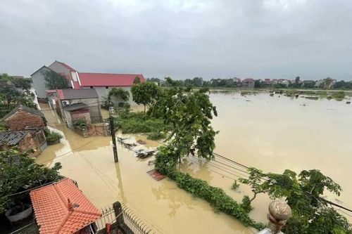 Huyện Sóc Sơn: mực nước sông Cầu, sông Cà Lồ lên cao gây ngập úng hàng chục héc-ta cây trồng