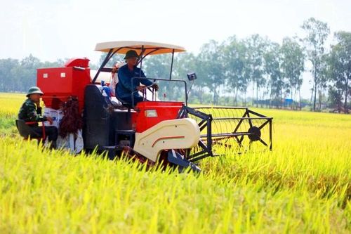 Đưa công nghệ sinh học vào sản xuất nông nghiệp: Tạo động lực phát triển bền vững